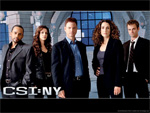 csi_newyork_small1.jpg