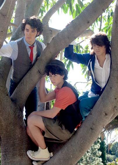 jonas_brothers_3_2008-10-131.jpg