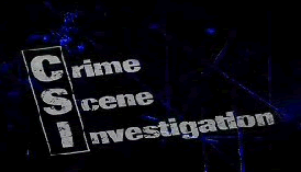 csi2.png